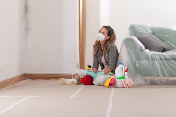 Reliable Mold Removal contractor in Rogers, MN by WQB Mold Removal